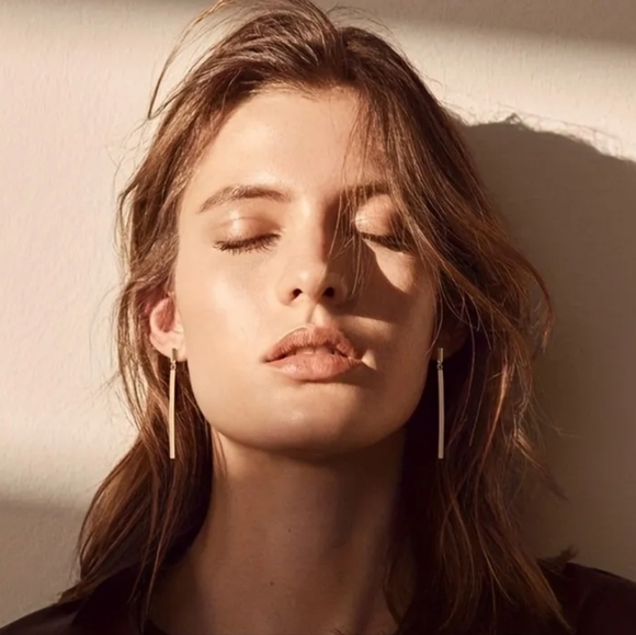 🔥LAST PAIR🔥 Double Bar Hinged Drop Earrings - Picture 6 of 6